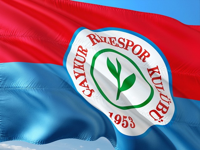 2023女足世界杯小組賽荷蘭1-0葡萄牙 範德格拉赫特一錘定音！荷蘭喜迎開門紅！.