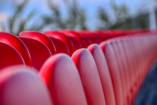 了球队的整 了球队的整