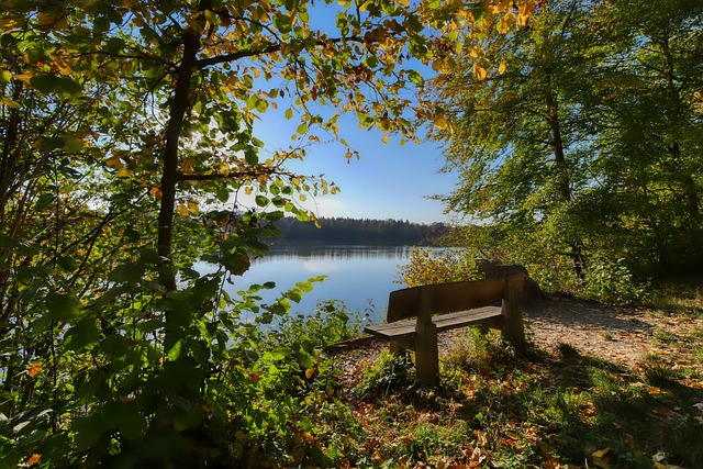 随后联盟发 随后联盟发