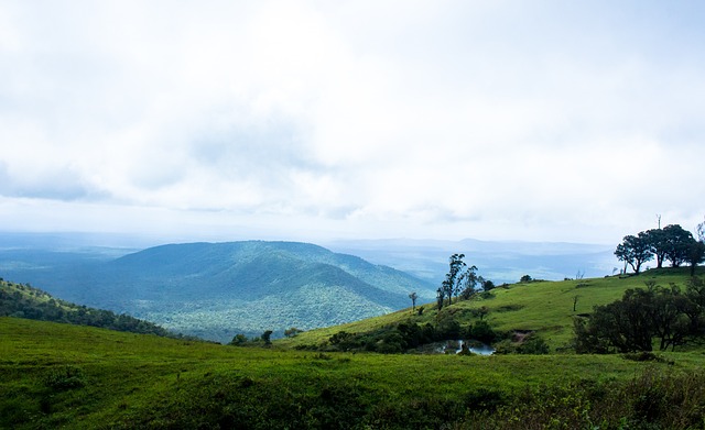 的阿森纳陷 的阿森纳陷