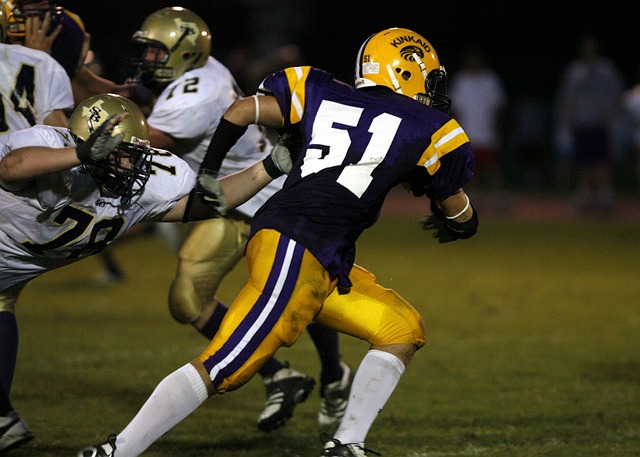 萊萬特的莫 萊萬特的莫