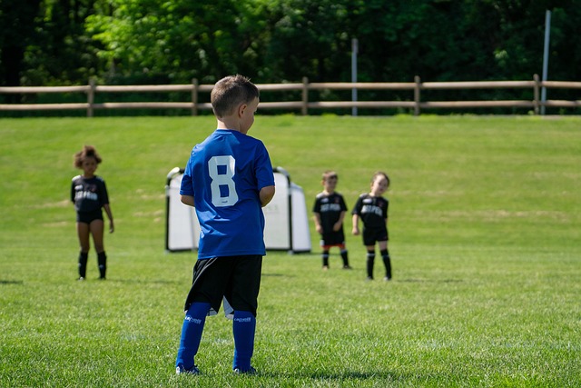 他不仅是一 他不仅是一